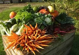 Odoo • Image et Texte